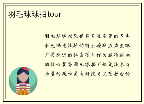 羽毛球球拍tour